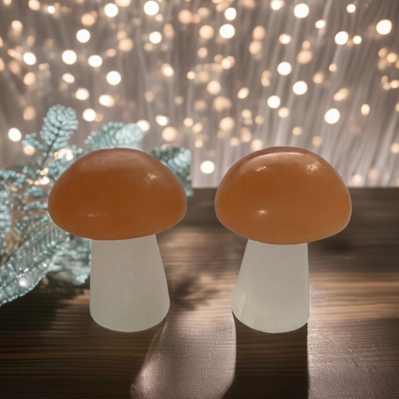 Carved Orange and White Selenite Mushroom