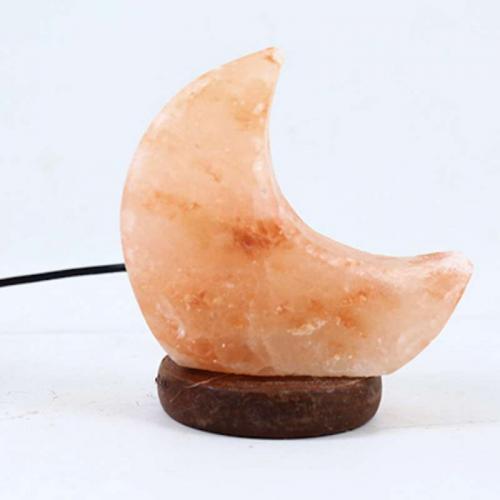 Moon Himalayan Salt Lamp 