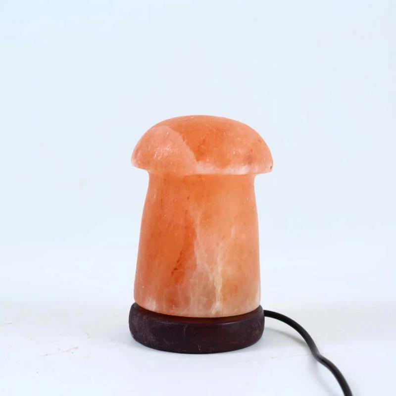 Mushroom Himalayan Salt Lamp 